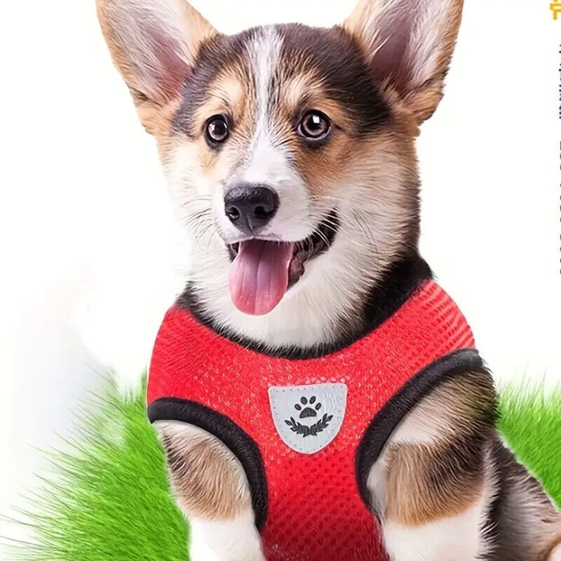 Breathable Mesh Small Dog Pet Harness And Leash Set Puppy Cat Vest Harness Cat