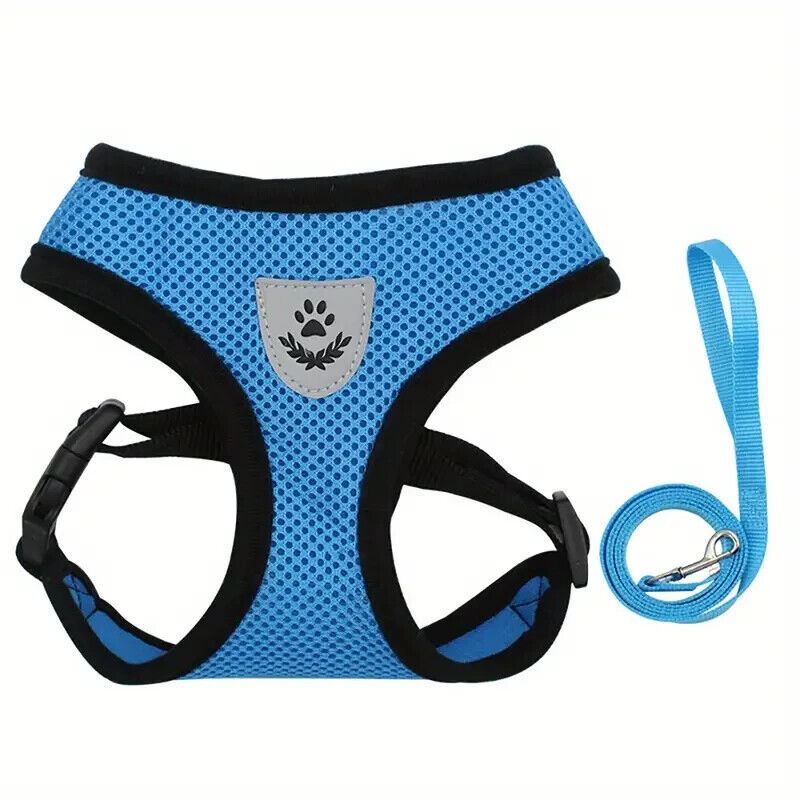 Breathable Mesh Small Dog Pet Harness And Leash Set Puppy Cat Vest Harness Cat