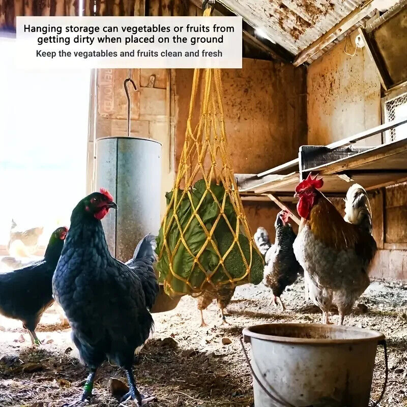 Feed Your Farm Animals with this Chicken Veggies Skewer Fruit Holder & Net