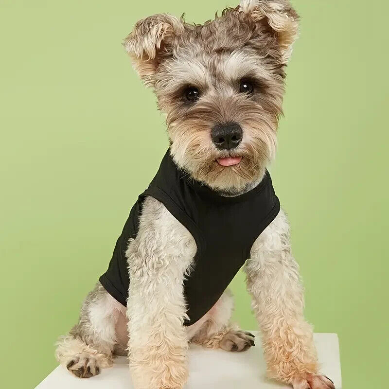 Security dog shirt black vest clothes breathable Medium