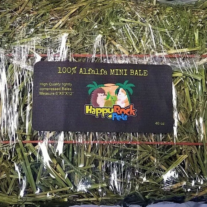 Alfalfa Mini hay Bales 46 oz.