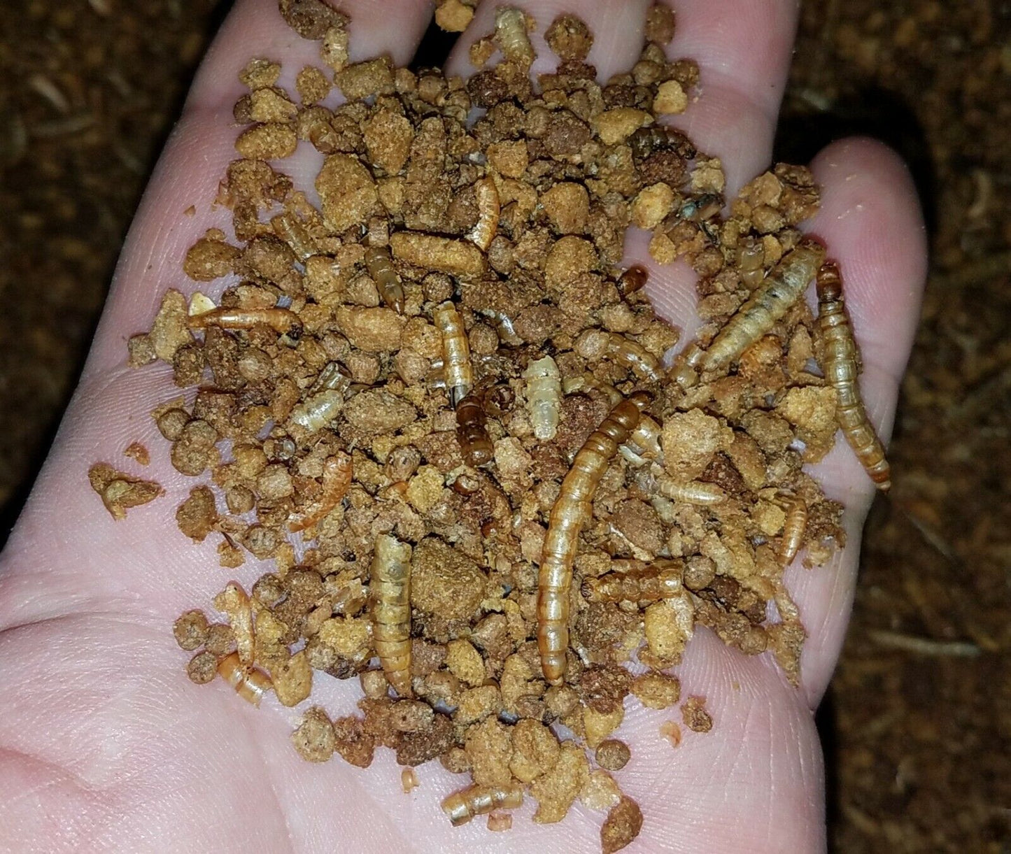 Hedgehog and Sugar Glider Granulated Staple Diet 8 oz.- 80 oz.