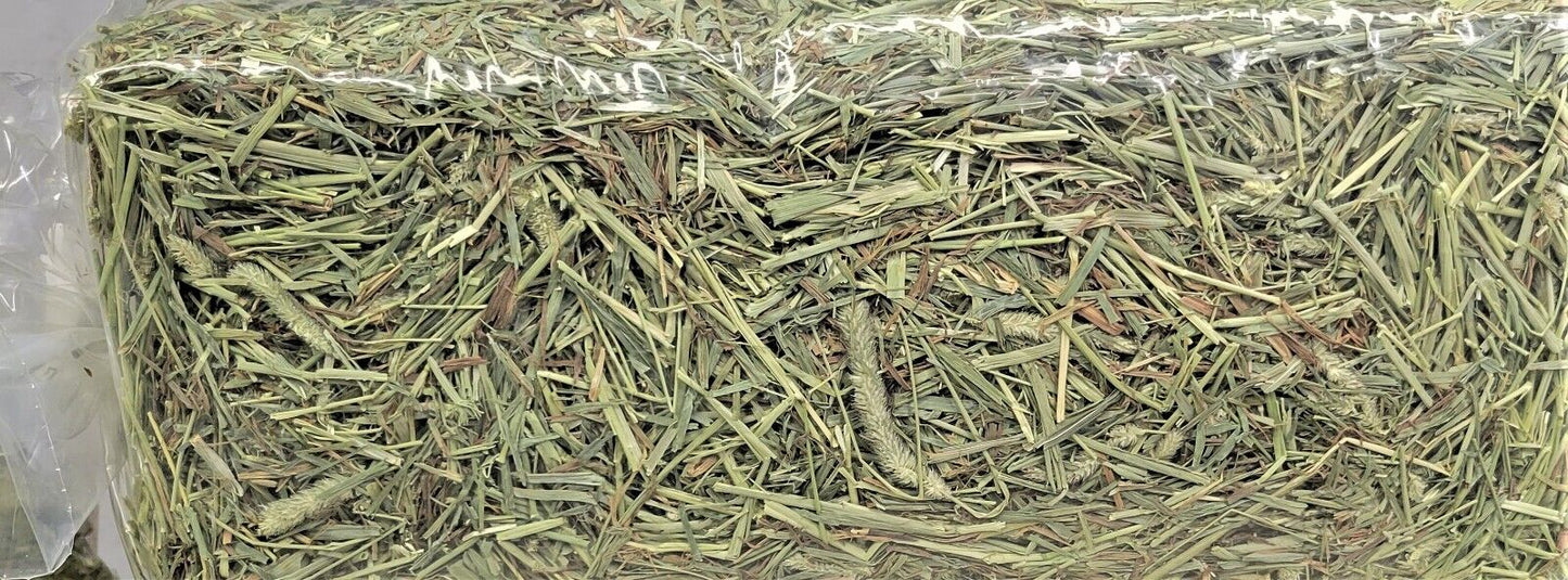 Kaytee Field and Forest First Cut Timothy Hay 32oz.
