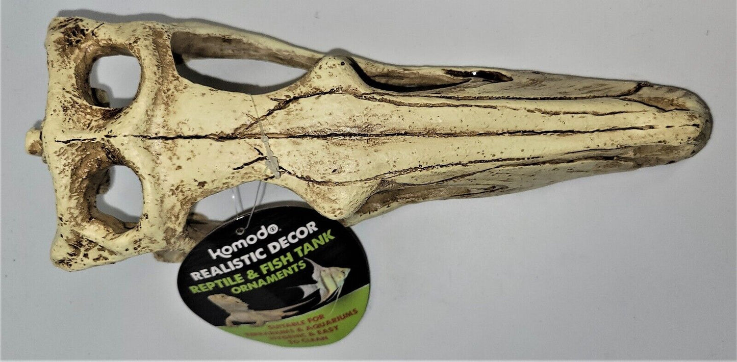 Komodo Raptor Skull