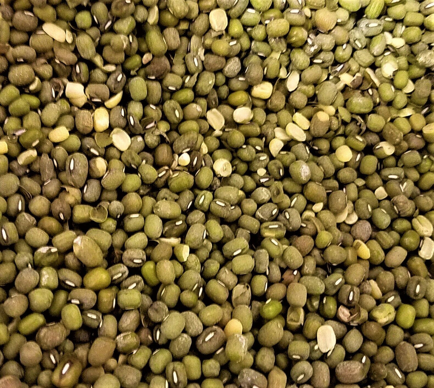 Mung Beans