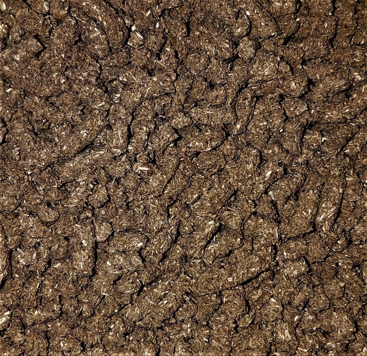 Tortoise LS Diet 4 oz. - 48 oz.