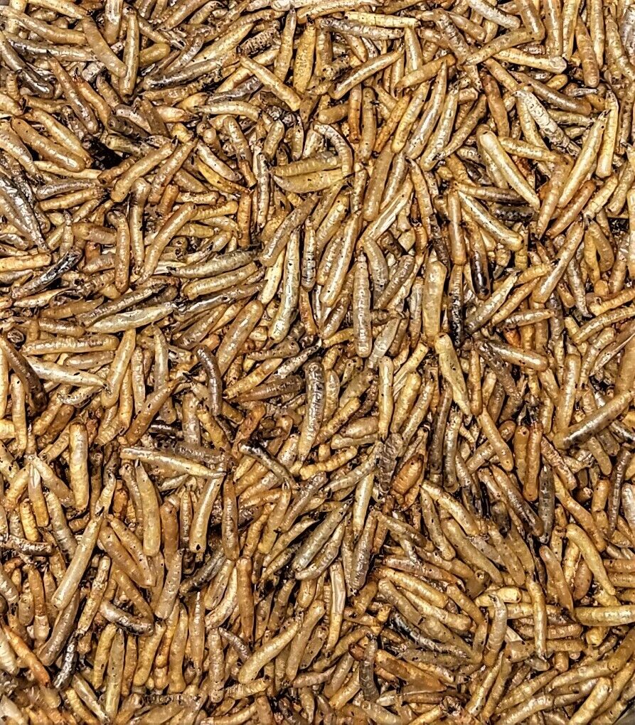 White Worms-Freeze Dried, Great for smaller Tropicals and Marines 7g-56g