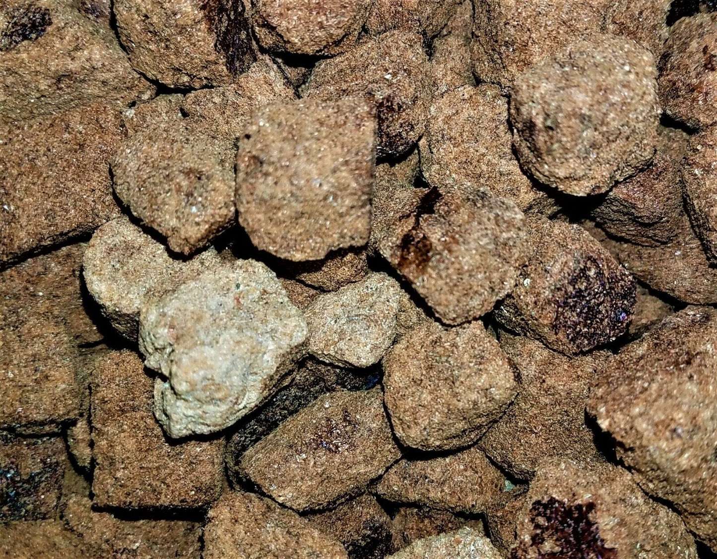 Brine Shrimp Cubes-Freeze Dried Pond & Land Turtles, Koi. ALL Tropicals 7g-112