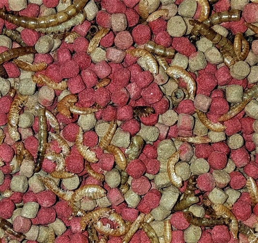 Flukers Buffet Blend Aquatic Turtle Food 4 oz.- 64 oz.