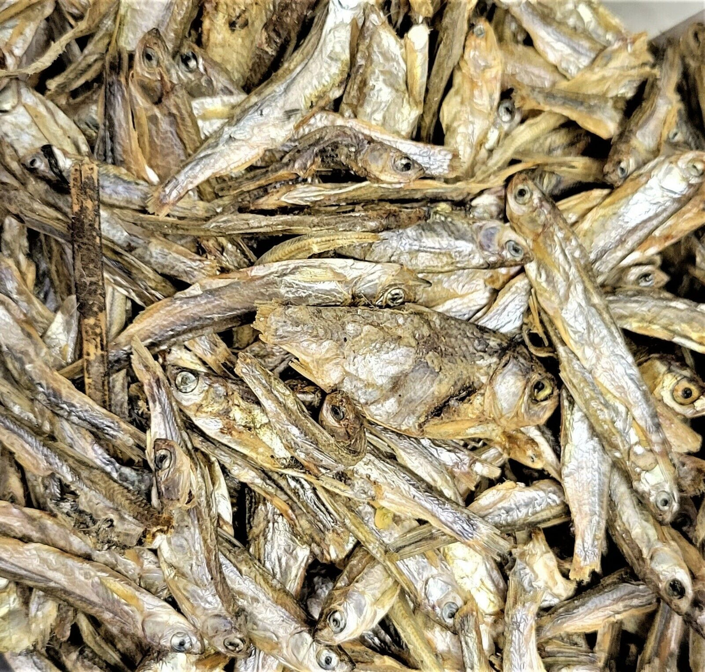 Freeze Dried Fresh Water Fish for fish,Turtles and tortoises 2 oz. - 16 oz.  1-3"