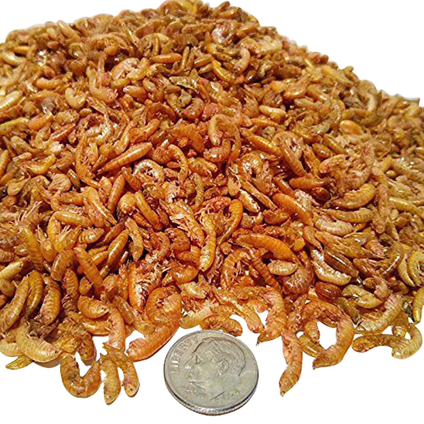 Gammarus-Freeze Dried, Great for smaller Tropicals and Marines