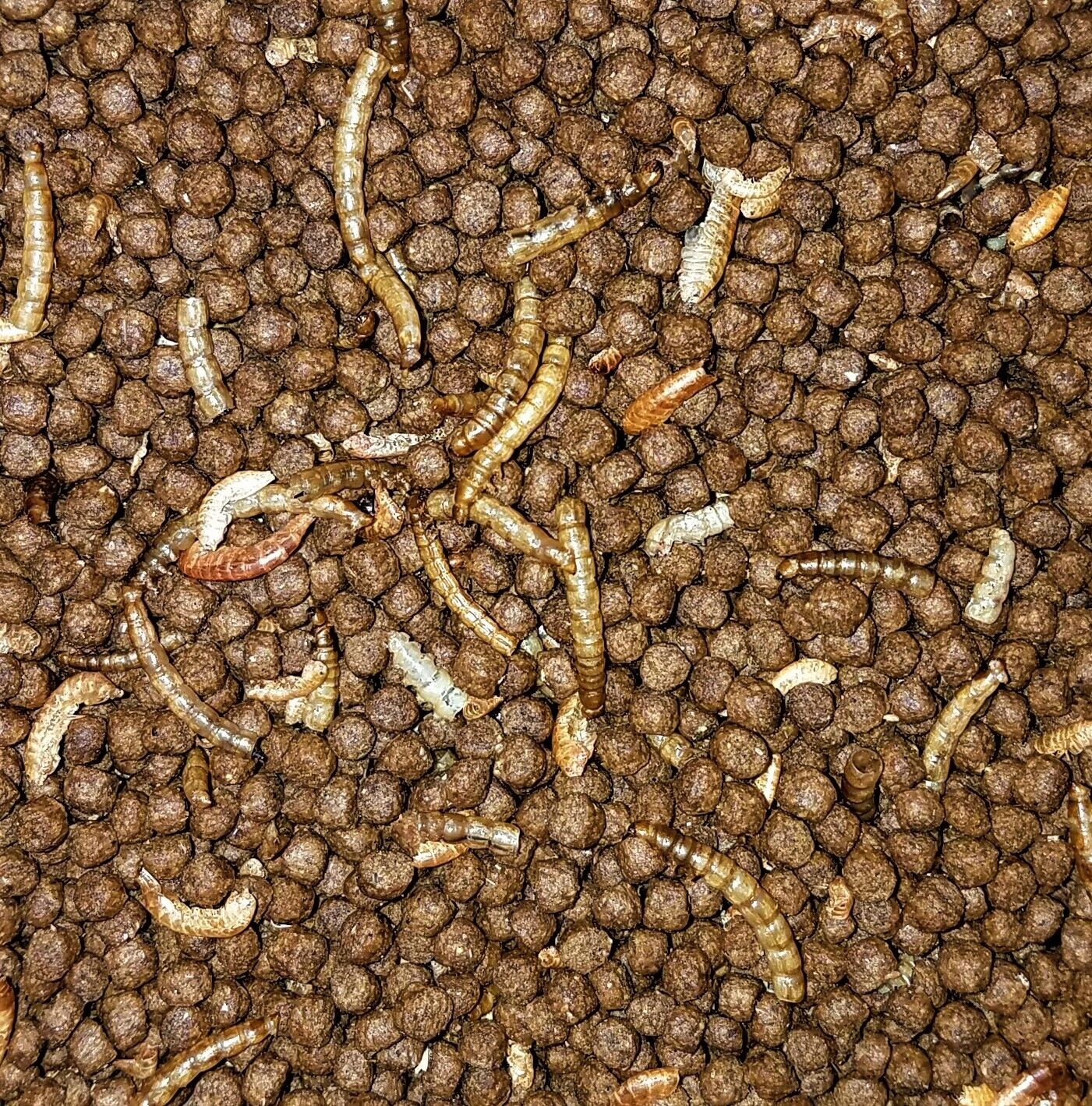 Aquatic Plus Turtle food 4oz - 48oz.