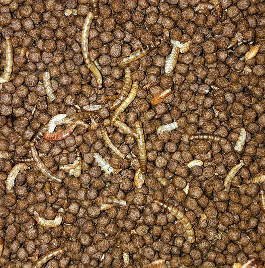 Aquatic Plus Turtle food 4oz - 48oz.