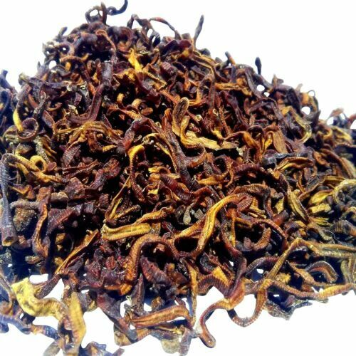 Earthworms-Freeze Dried, Floating for Large Fish, Pond Fish, Turtles, Reptiles