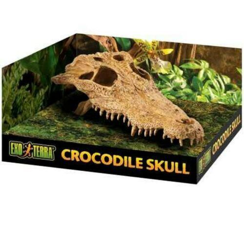 Exo Terra Terrarium Crocodile Skull Decoration