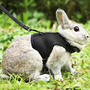 Rabbit / Bunny Medium adjustable soft vest harness