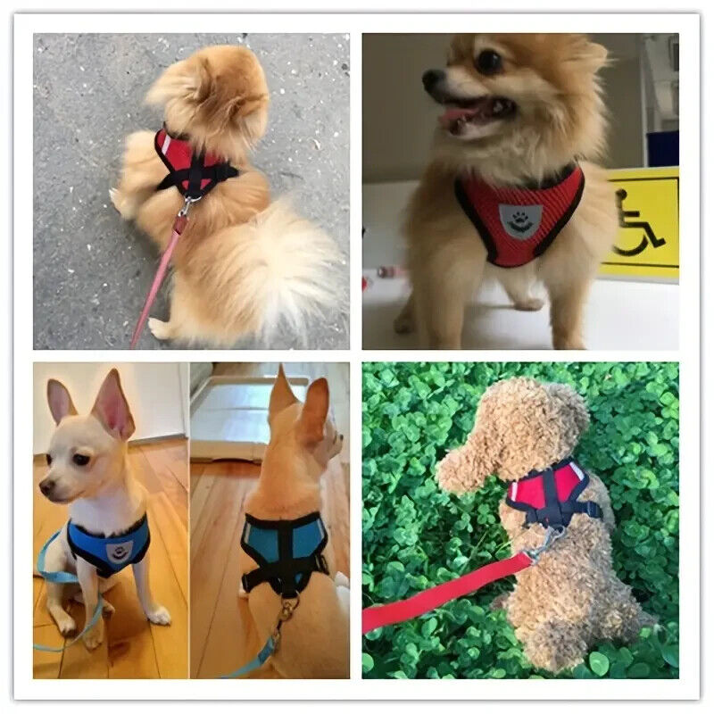 Breathable Mesh Small Dog Pet Harness And Leash Set Puppy Cat Vest Harness Cat