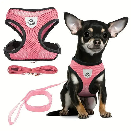Breathable Mesh Small Dog Pet Harness And Leash Set Puppy Cat Vest Harness Cat