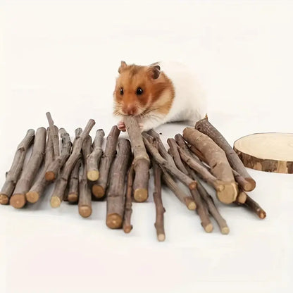 Nature Sticks 100G Pet Food Wood Chew Toys Guinea Pigs Chinchilla Hamster
