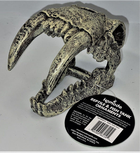 Komodo Large Saber Tooth Skull, Medium