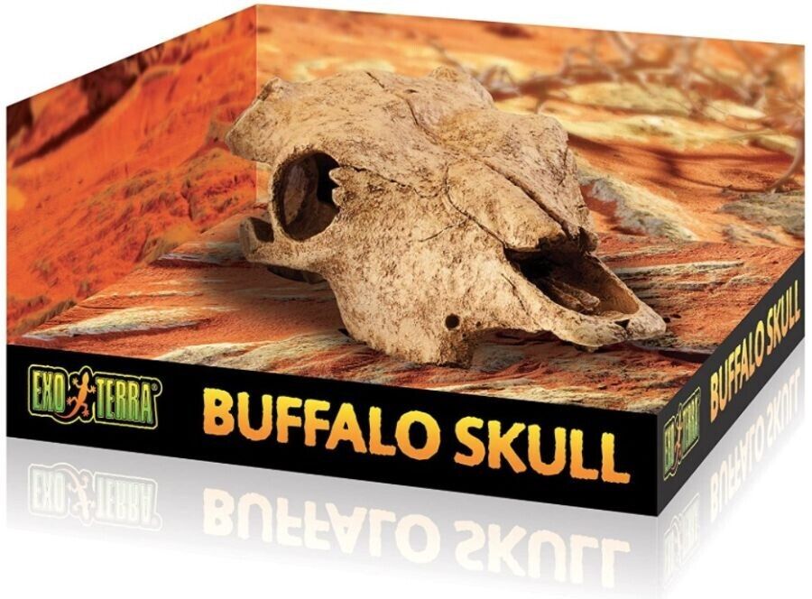 Exo Terra Terrarium Buffalo Skull Decoration 1 pack