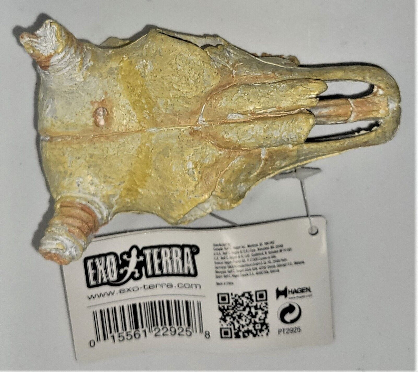 Exo Terra Buffalo Skull Reptile Hideout